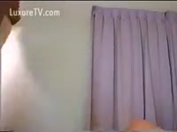 Japanese Bitch acquires Dog Meat